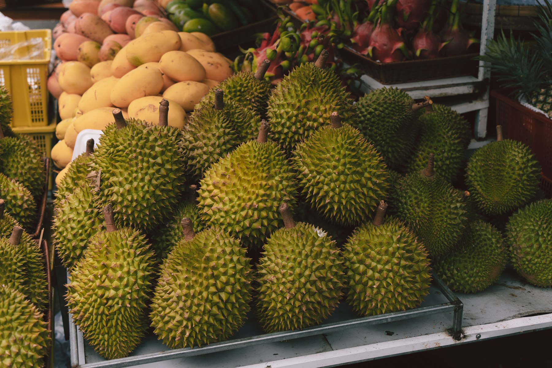 ส่งตรงผลไม้ คุณภาพพรีเมียม