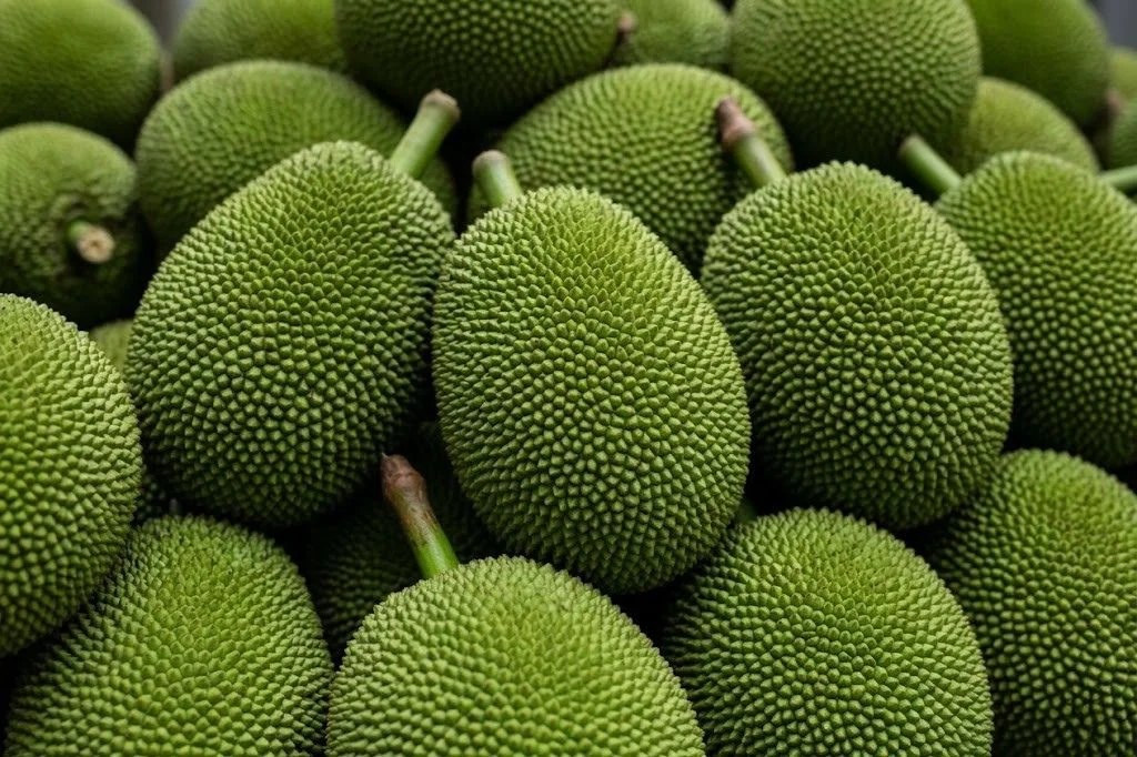 ขนุน